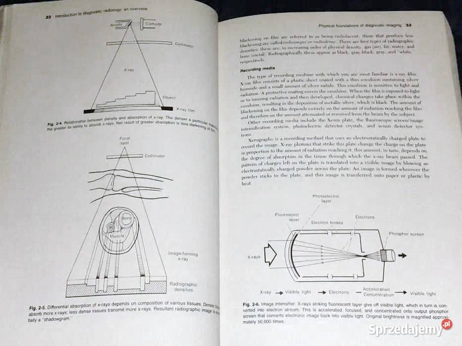 Introduction to Clinical Radiology Richard