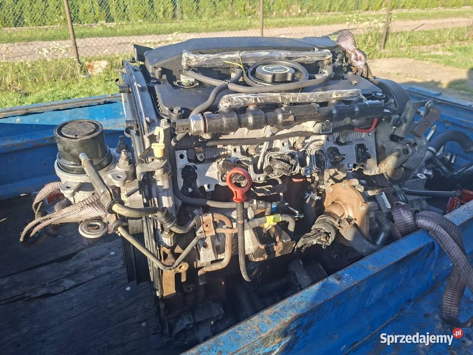 Silnik 20 TDCi Jaguar Ford 135 przebiegu Obrowo sprzedam