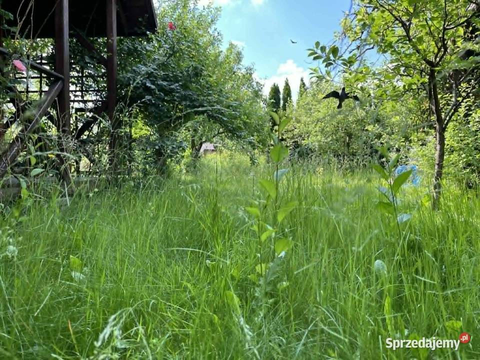 Działa ROD Paluch Kinetyczna 21 350m2 mazowieckie Warszawa