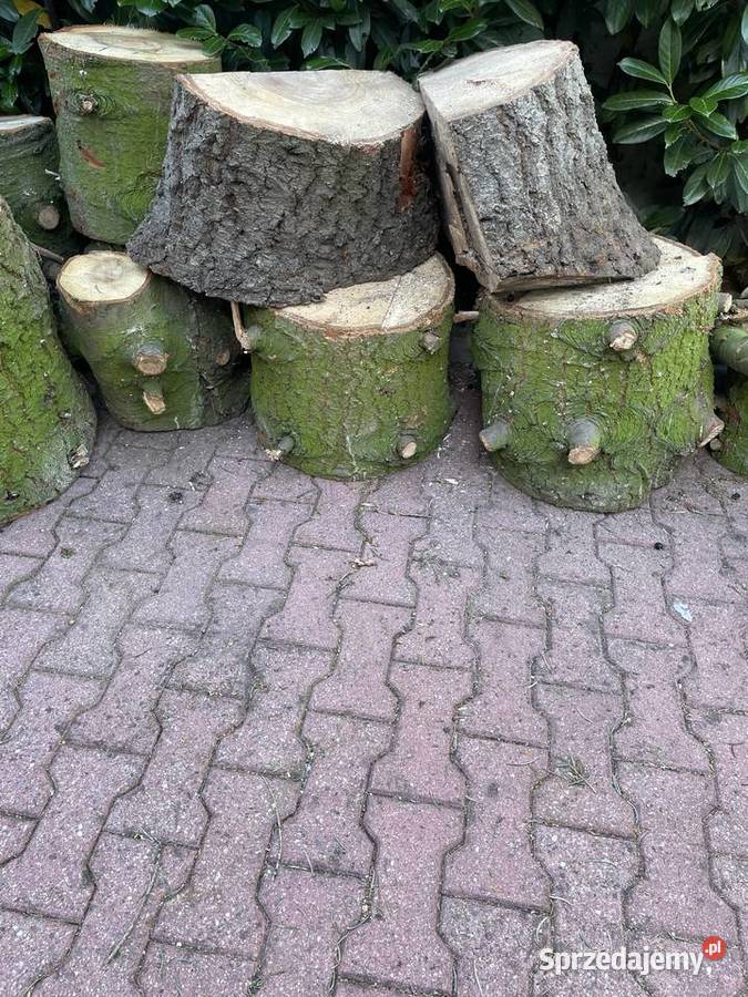 Drewno opałowe tanio dużo Pozostałe wielkopolskie Ostrzeszów