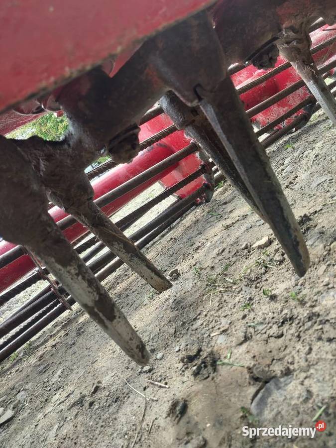 Brona aktywna Korczyna