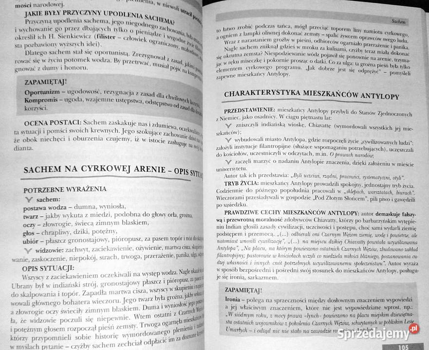 Powtórka z literatury kl 6 Szkoła podstawowa Pozostałe Chełm