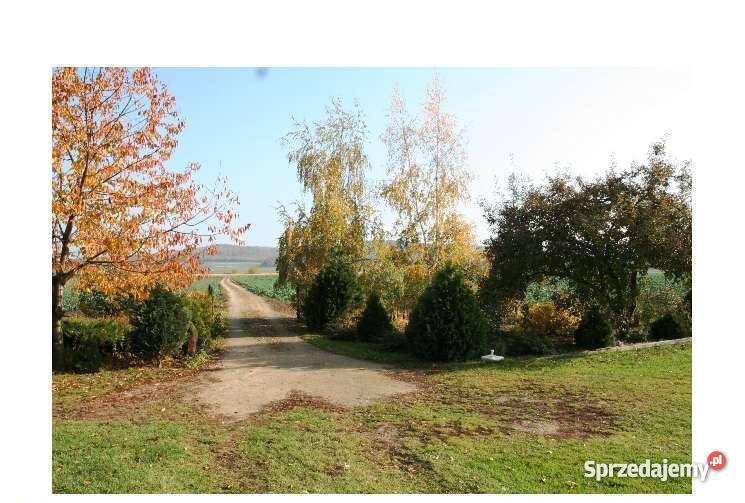 Domek na wsi z dużą działką pięknie położona dol Liczba pokoi 4 Domy Gniewków