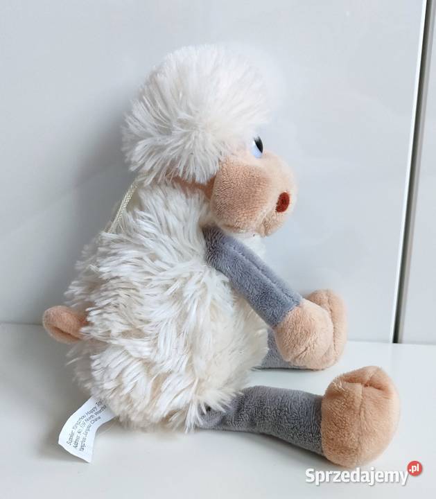 Owieczka SunDay śląskie Katowice