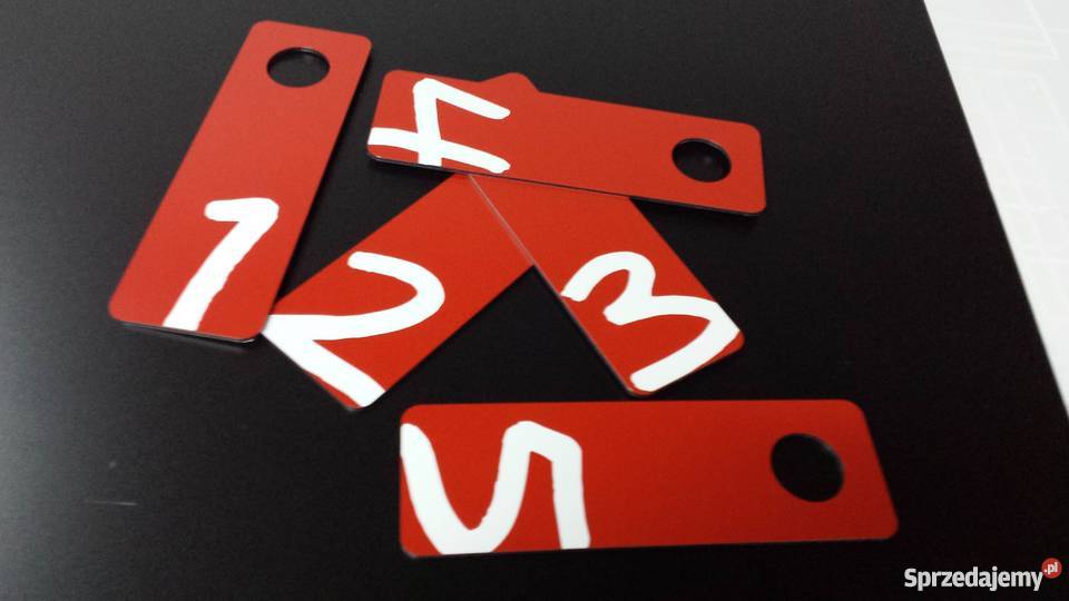 NADRUKI numerki szatnia LOGO emplast wymiar Radwanice