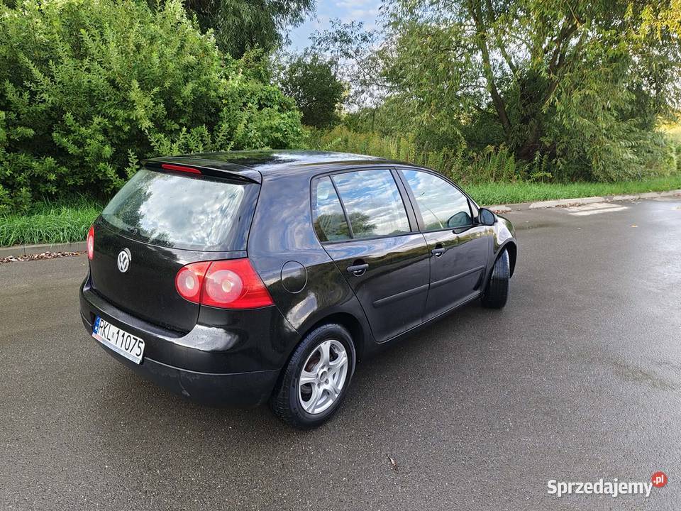 Volkswagen Golf V 16 mpi Łańcut