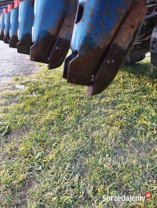 Siewnik stegsted 25m w stanie Oryginał Lechów