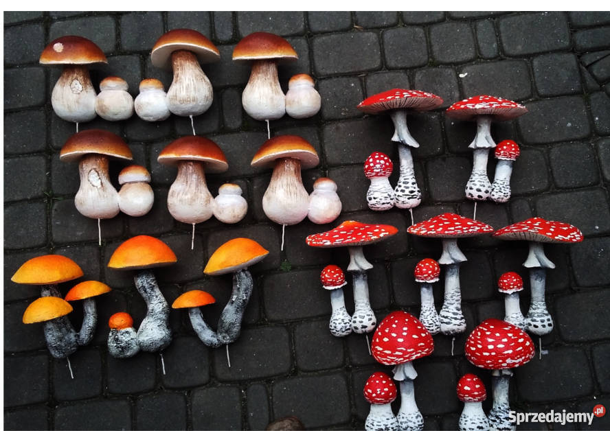 Grzyby styropianowe śląskie Górki Wielkie