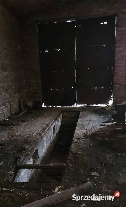 Sprzedam garaż warsztat samochodowy Stalowa Wola