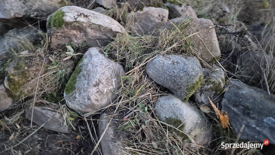 Kamień polny podlaskie Skrybicze sprzedam