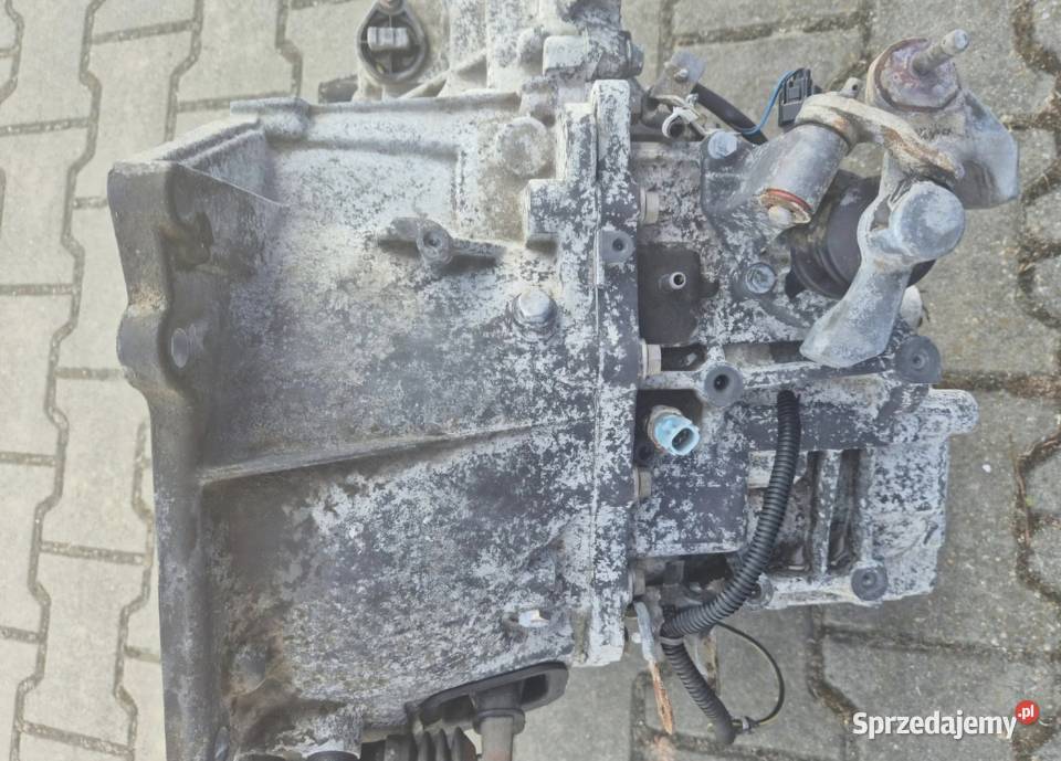 MANUALNA SKRZYNIA BIEGÓW 6B NISSAN PRIMERA P12 Działoszyce