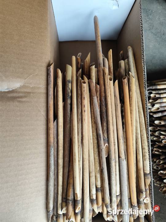 Rurki murarki trzcina do murarek domki pszczół Skoczów