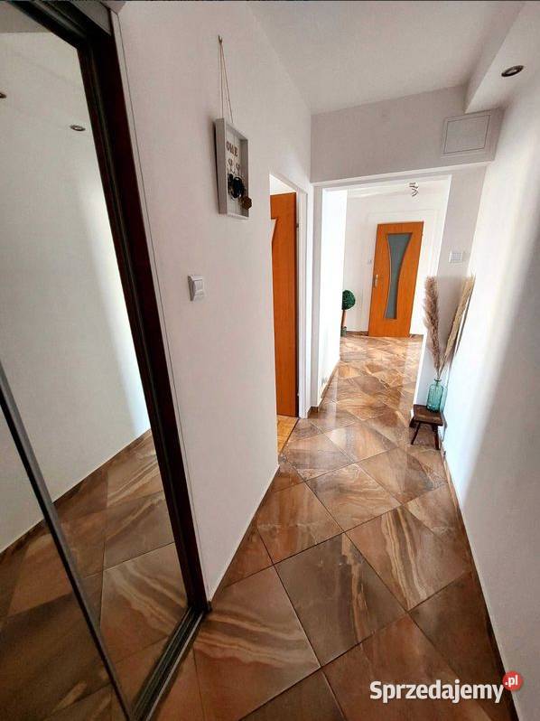 3pok 62met Piławskiej BALKONPIWNICAWINDA Wrocław