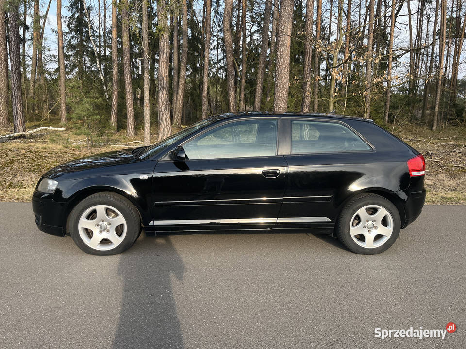 Audi a3 19 tdi 2/3 wielkopolskie Grodziec