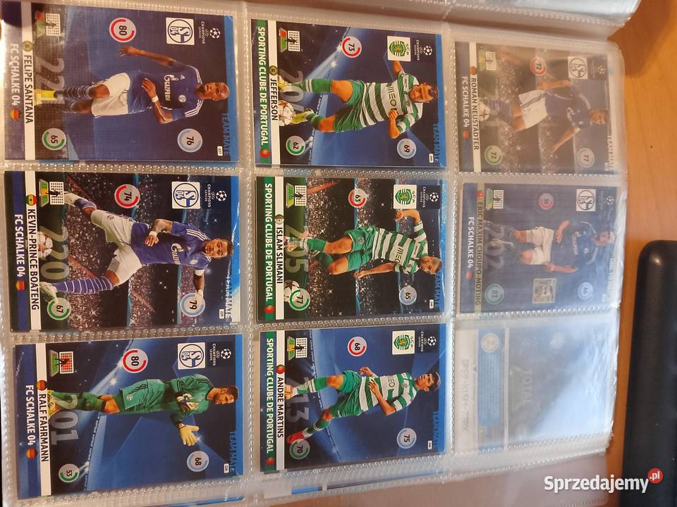 Album z kartami panini Warszawa