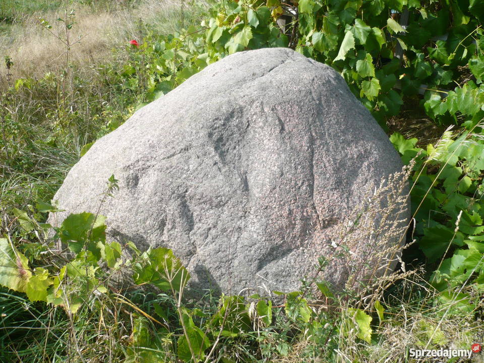 Głaz kamień średnica ponad 1 m lubelskie Lubień