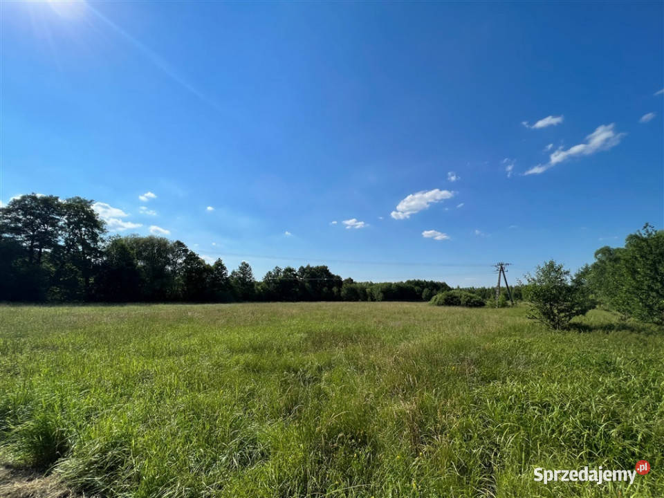 Świetna działki inwestycyjnej w Sosnówce Sprzedaż Sosnówka