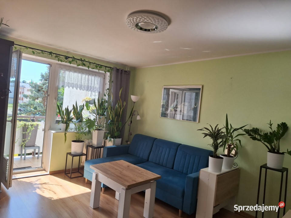 Mieszkanie we Władysławowie w super lokalizacji Sprzedaż Władysławowo