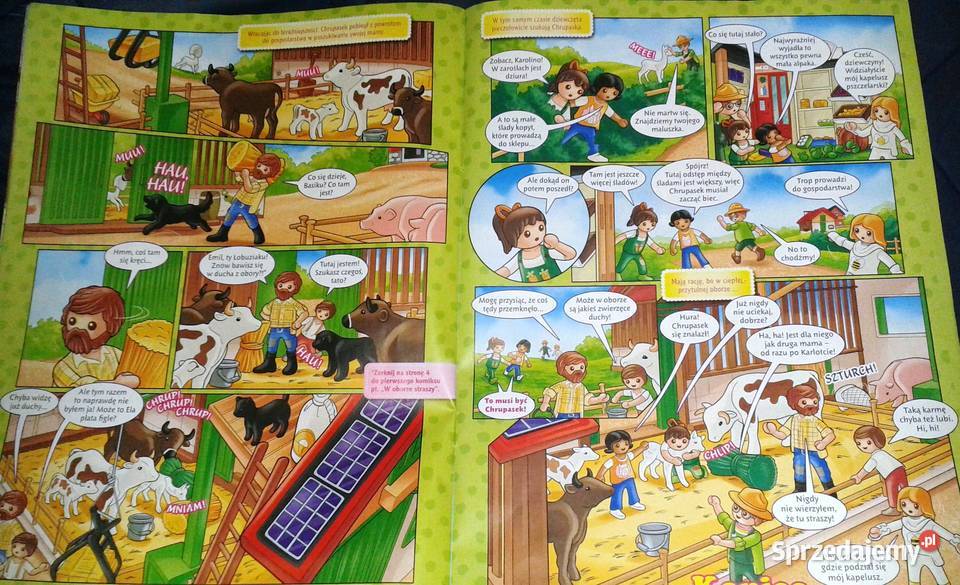 Playmobile Pink 05 2023 lubelskie Chełm