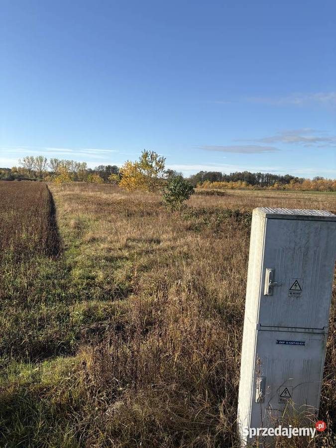 Syndyk sprzeda Sworzyce