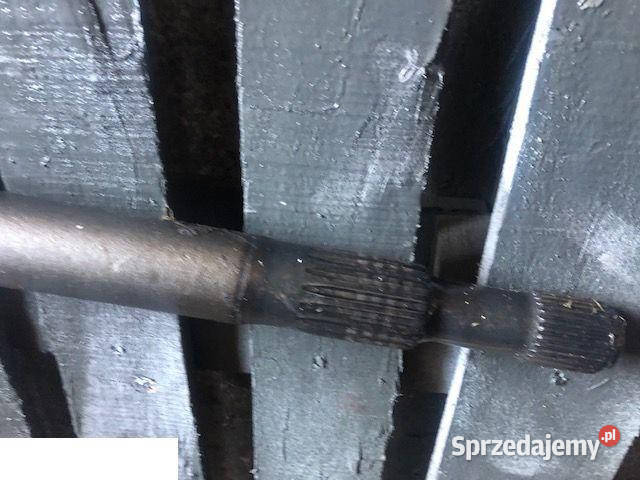 Claas Scorpion Zwolnica Jastrzębniki