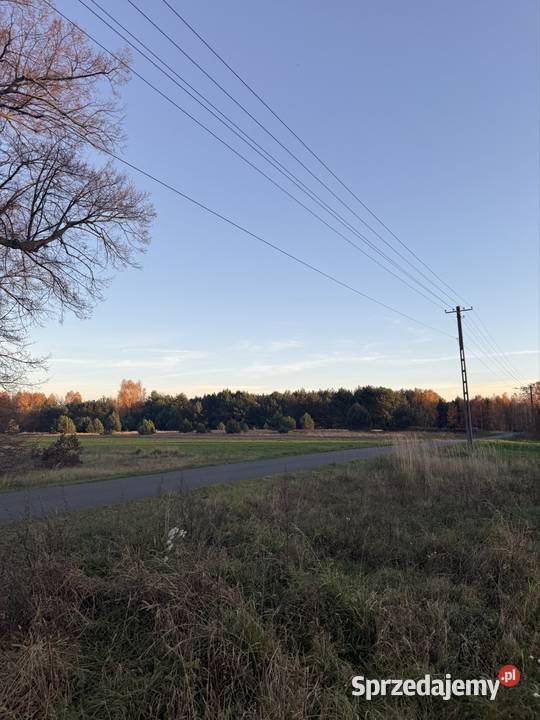 działka budowlana Zdzierczyzna gmina Sokolniki