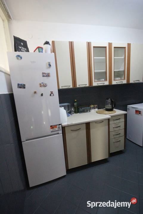 2pok 39met Ogrodu Botaniczego PIWNICAKOMÓRKA parter Wrocław