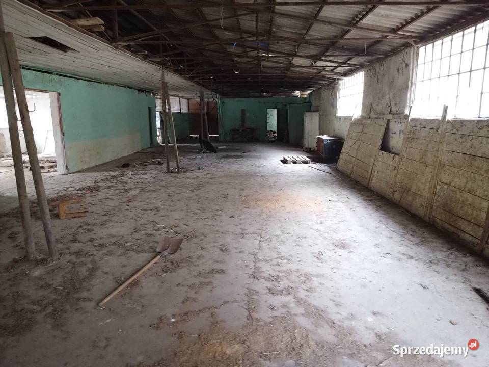 Nieruchomość komercyjna położona w zasięgu DK 28 Hołuczków