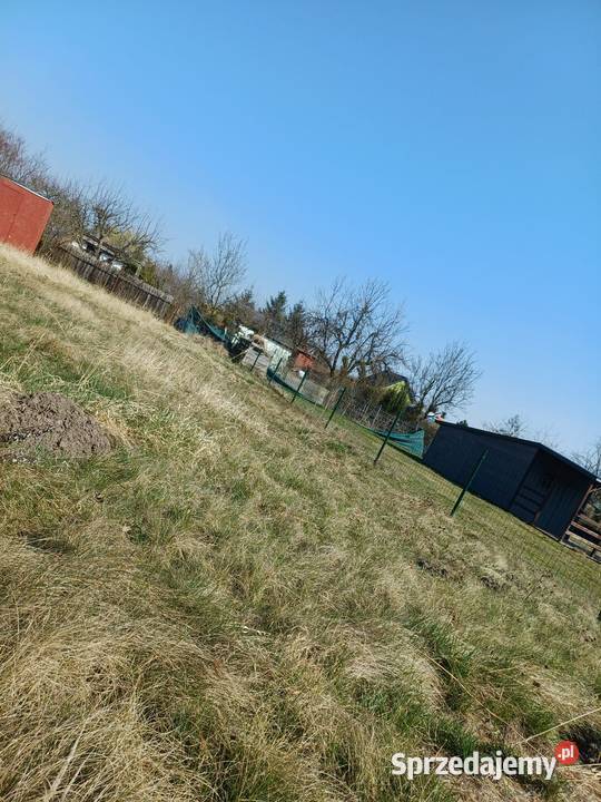Działka ROD ogródek rekreacyjny na sprzedaż Oława