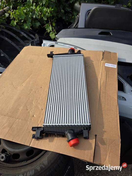 Intercooler Buick Verano 13311080 Intercooler Chłodnice powietrza (intercoolery) dolnośląskie
