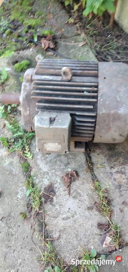 Silnik elektryczny 75 kw Skarżysko-Kamienna