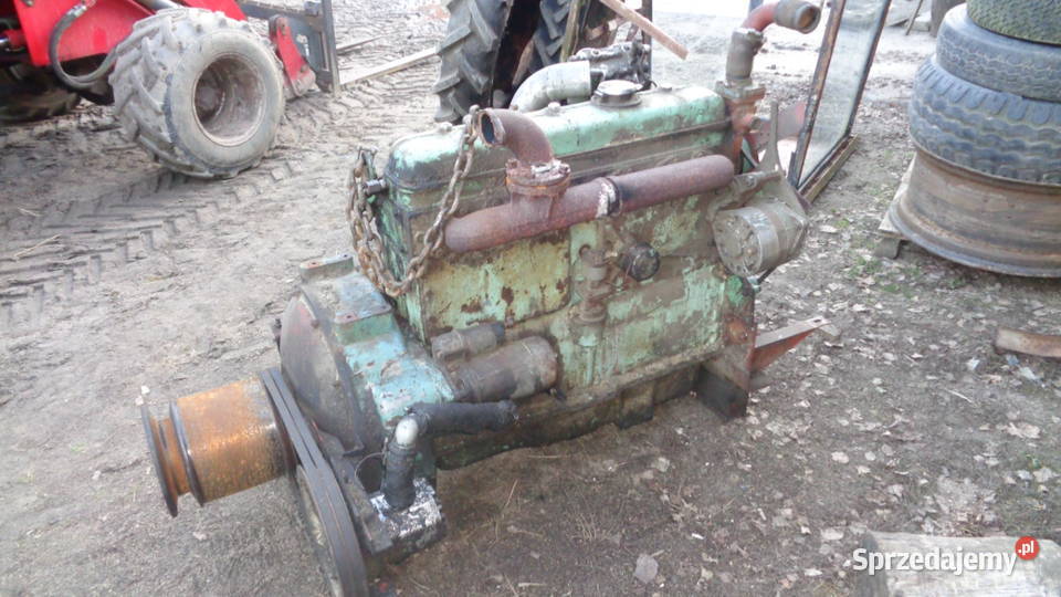 silnik do bizona nieuszkodzony Przasnysz