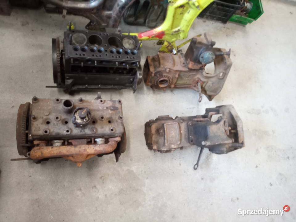 Adler junior Kraków