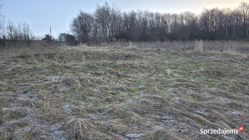 Dom ze Stodołą i Stajną 190 ha cegła Woźniczna sprzedam