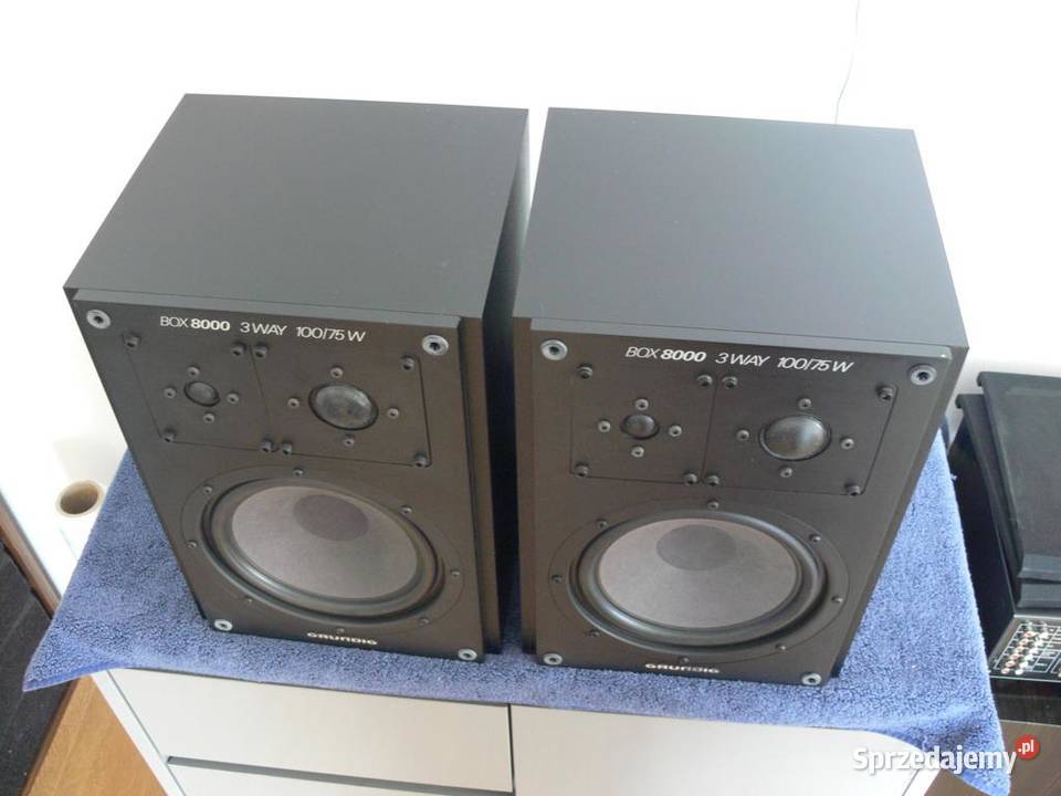 Kolumny Grundig Box8000 sprawne świetne monitory podkarpackie Jasło sprzedam