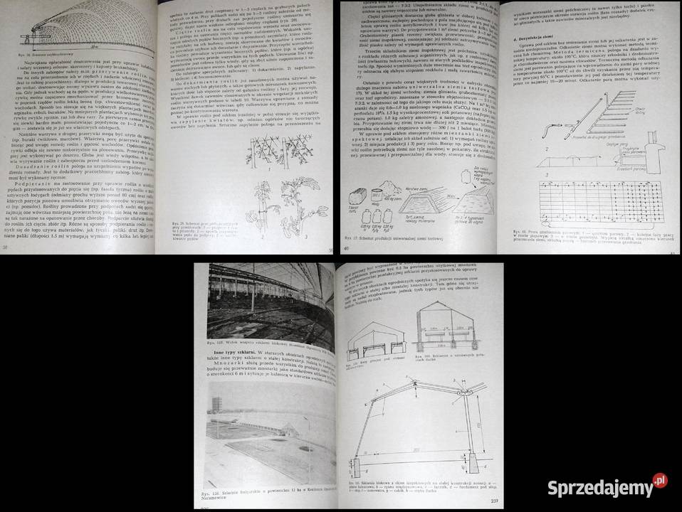 Warzywnictwo HLityński H Nieć