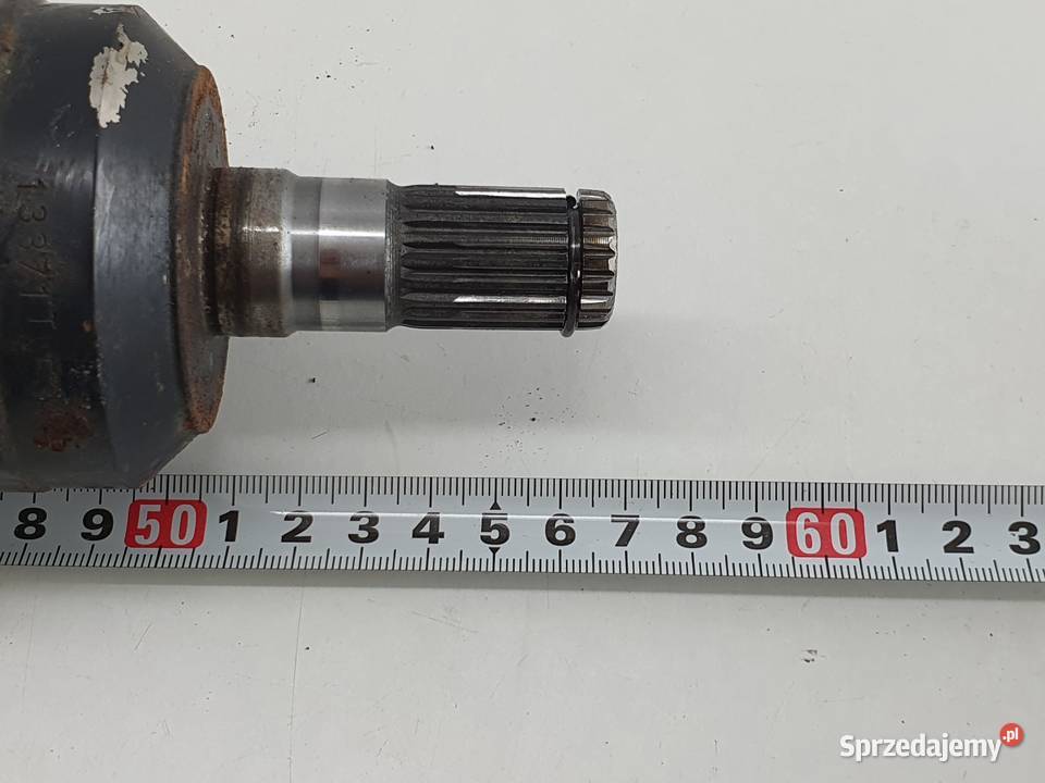 POLOS POLOSKA PRZEGUB CECTEK 500 GLADIATOR łódzkie Janowice