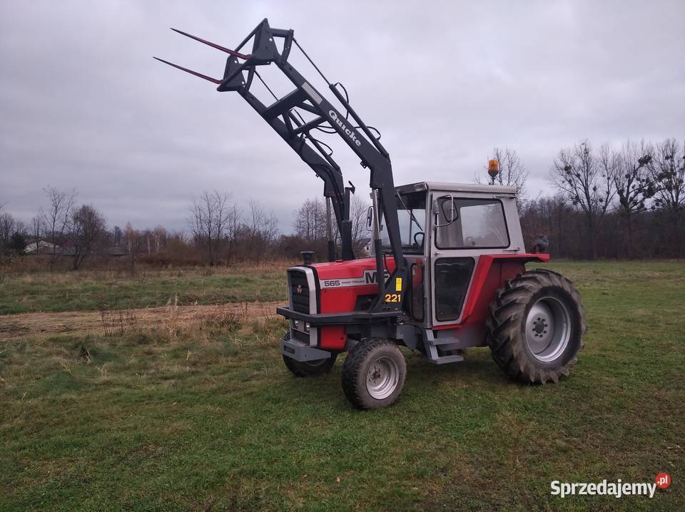 Massey Ferguson 565 Radom