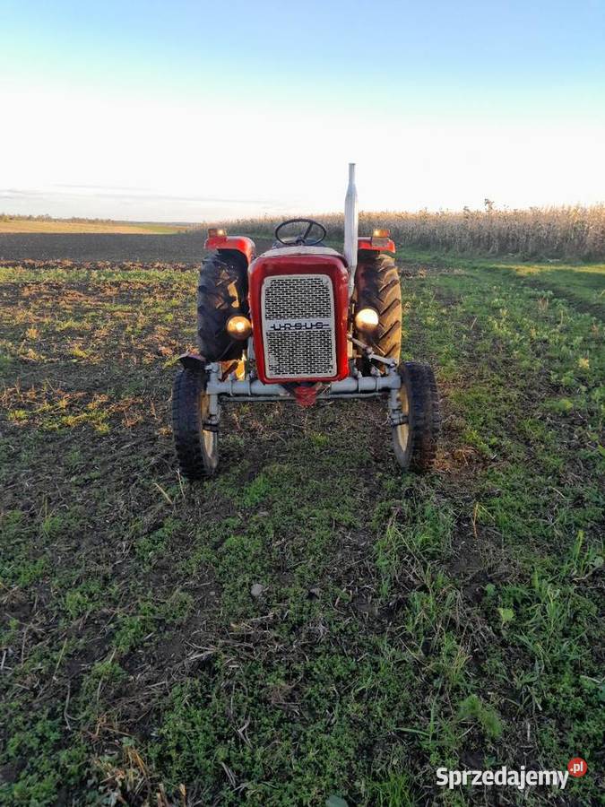 C360 c4011 c355 Dobre Miasto