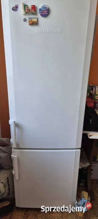Lodówkozamrażarka firmy Liebherr 60cm