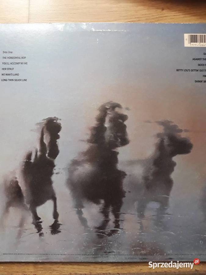 BOB SEGER SILVER BULLET BAND Against Wind podkarpackie Rzeszów sprzedam