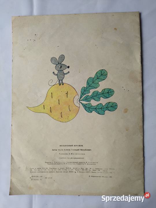 Magiczny krąg KOLOROWANKA miękka Książki dla dzieci Hajnówka