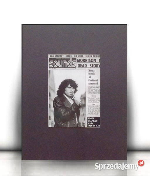 the doors plakat A4 Jim Morrisona plakat plakat Opole sprzedam