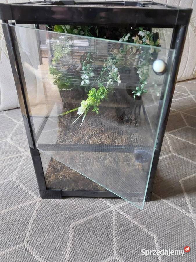 Terrarium Terrarystyka mazowieckie Warszawa