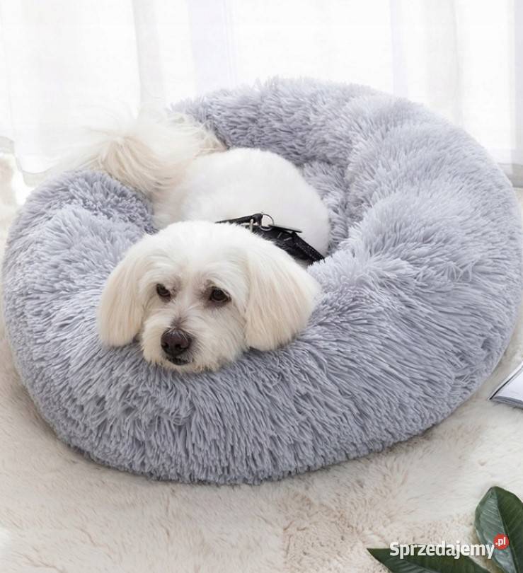 LEGOWISKO PSA KOTA PLUSZOWE PODUSZKA KOJEC Dla psów mazowieckie Warszawa