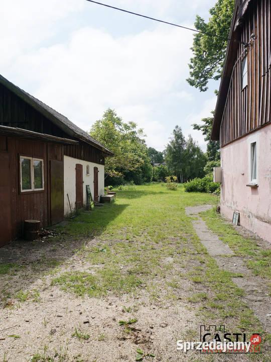 Stegna I 1000m2 I kameralna 1000m2