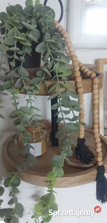 Patera dwu poziomowa kujawsko-pomorskie Nakło nad Notecią