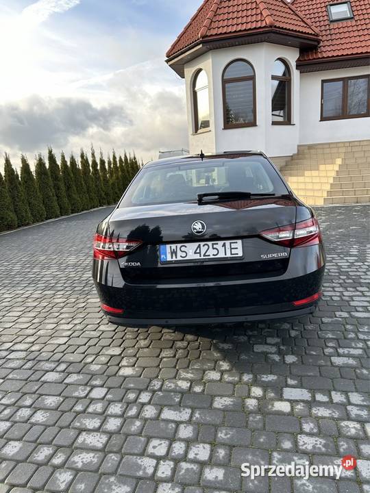 Skoda Superb 20 TDI DSG diesel świętokrzyskie Krajno-Parcele