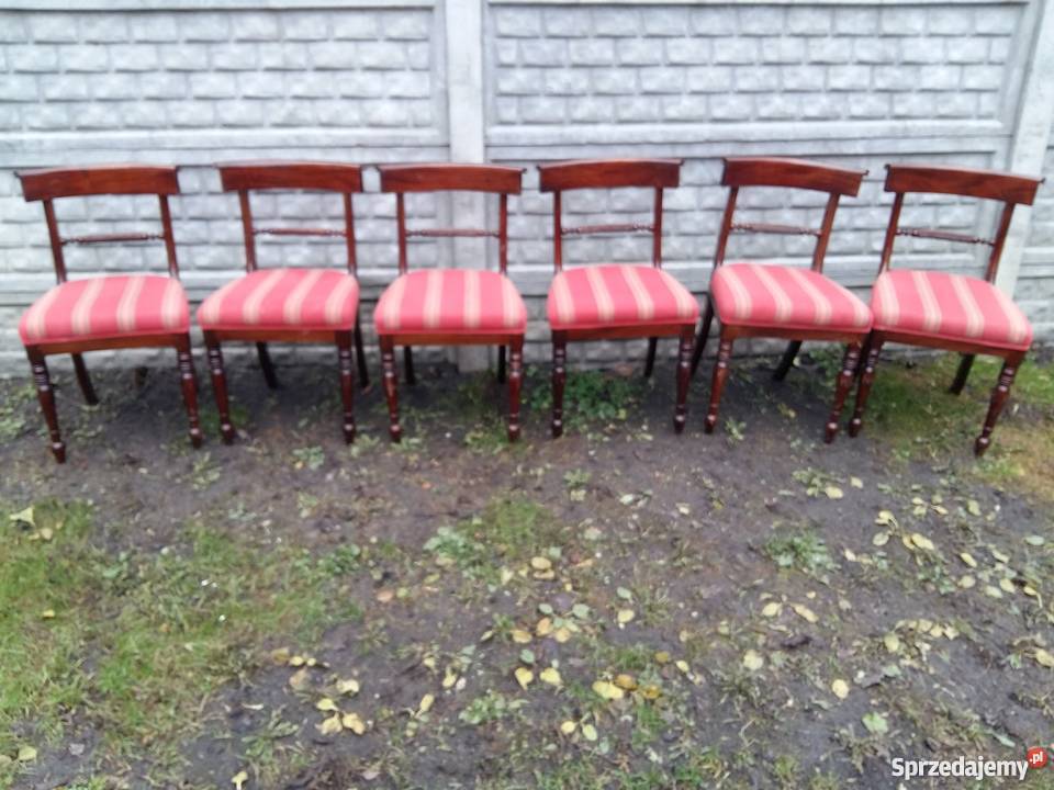 Komplet 6 krzeseł w stylu biedermeier 209 42cm Kościan