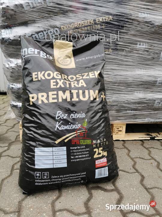 Kocioł na pellet EKO SILVER 10 Transport Montaż Ińsko